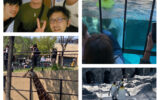 社員旅行　北海道　２日目　自由行動　旭川市旭山動物園　令和５年５月１４日